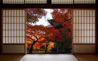 Momiji: l’autunno giapponese